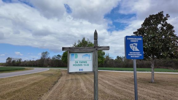 Thriving Hog Farm in Fayetteville, NC - Establishe