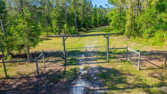 325± Acre North Florida Land Offering – Timber, Hu