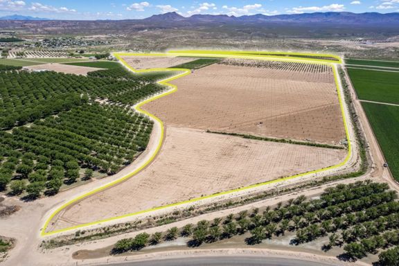 Large Pecan Farm in Dona Ana County, New Mexico fo