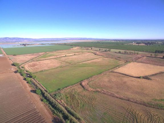 320 Acres of Organic Farmland in Woodland, Califor