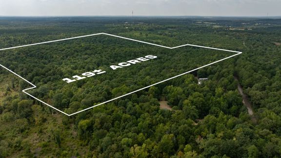 119 Acres of Hunting, Timber & Recreational La