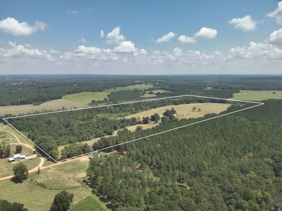 80-Acre Country Estate in Clio, AL for Sale