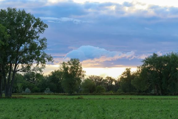 212-Acre Milk River Cottonwood Farm in Malta, Mont