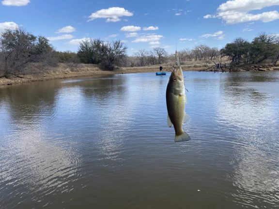 333-Acre Cattle & Hunting Ranch in San Saba Co