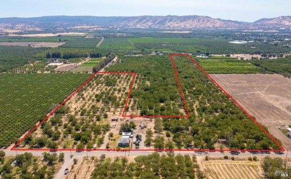 31-Acres of Land for Sale in Winters, CA - Walnut 