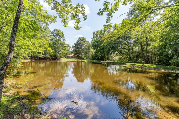 59.5 Acre Country Estate in Dresden, TN for Sale