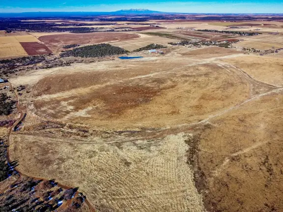 Colorado Home & Agricultural Land in Yellow Jacket