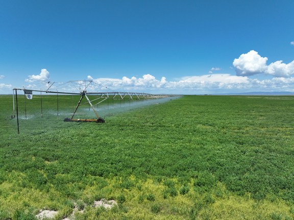 Eastern Oregon Ranch for Sale in Harney County