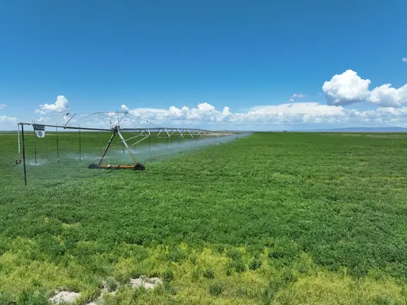 Eastern Oregon Ranch for Sale in Harney County