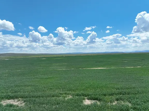 Eastern Oregon Ranch for Sale in Harney County