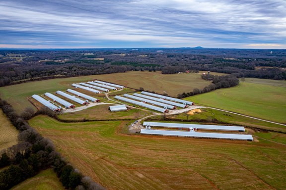 Poultry Farm with 14 Broiler Houses For Sale - Lin