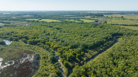 TX Recreational Land for Sale Palmer Ellis Co Sout