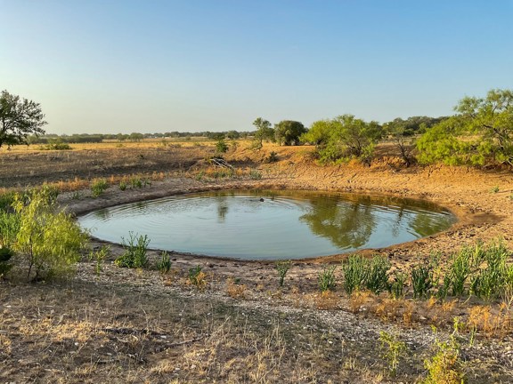 Texas Ranch Land in Coryell County