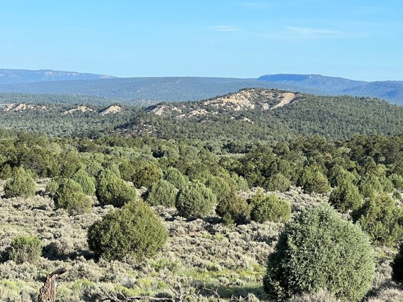 Incredible Elk Hunting Ranch in Chama Valley