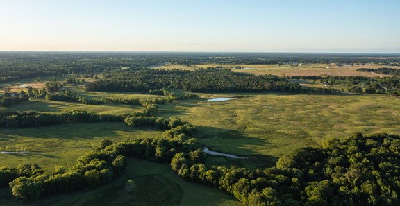 Northeast Texas Cattle Ranch - Bowie County