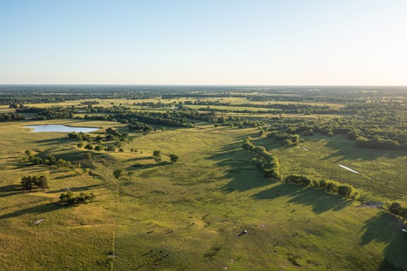 Northeast Texas Cattle Ranch - Bowie County