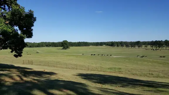 Grant County, AR Farm & Cattle Ranch with Home For