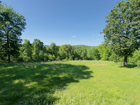 Country Home & 833 Acres of Land for Sale in Mount