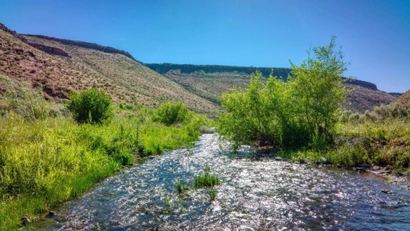 Clover Creek Chukar Camp