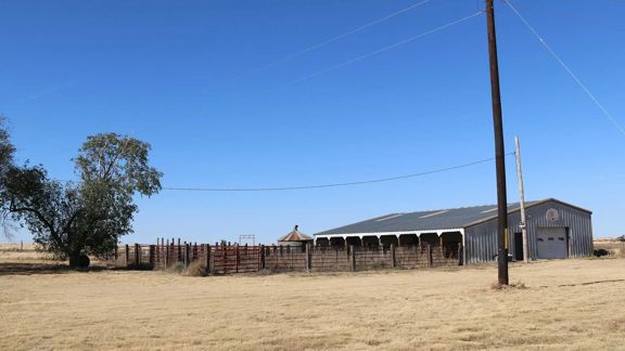 Texas County Grass Ranch