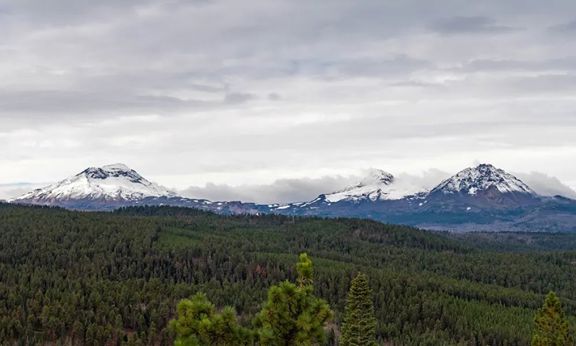 Bull Springs Skyline Forest