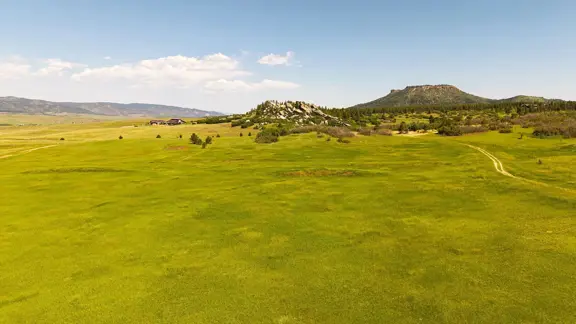 Three Pine Ridge Ranch