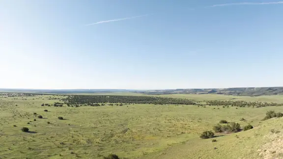 Y4 Ranch