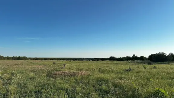 Y4 Ranch