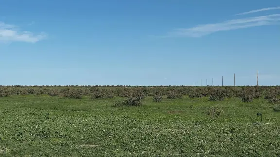 Y4 Ranch