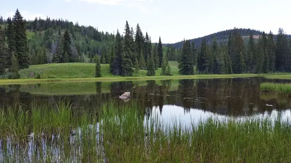 Battle Lake Ranch