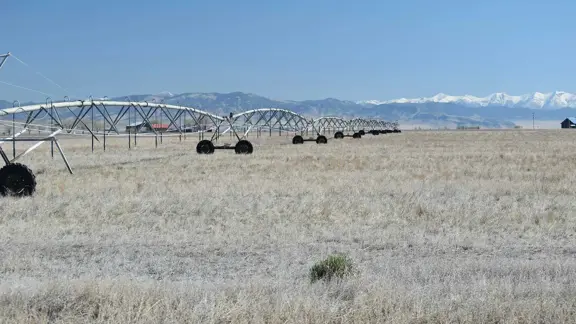 Corzine Ranch
