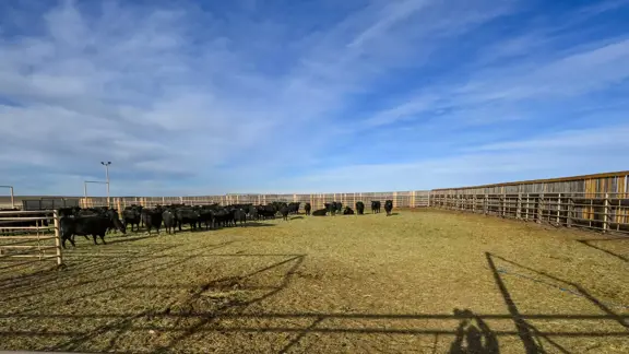 Indian Hills Ranch