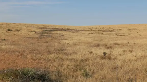 High Lonesome Ranch