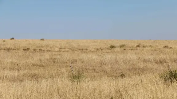 High Lonesome Ranch
