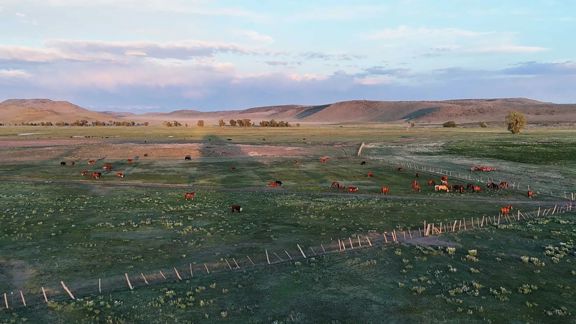 Flying N Ranch