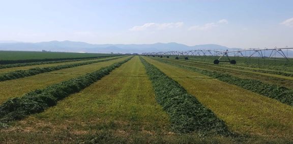 L Cross Ranch