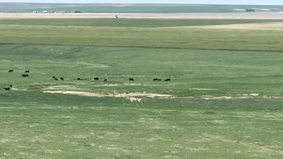 Gould Ranch