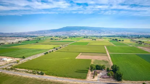 25 Mesa Farm