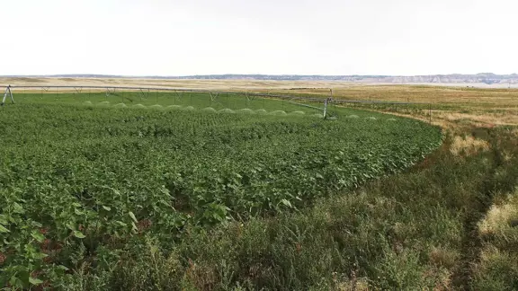 Flanagan Family Farm