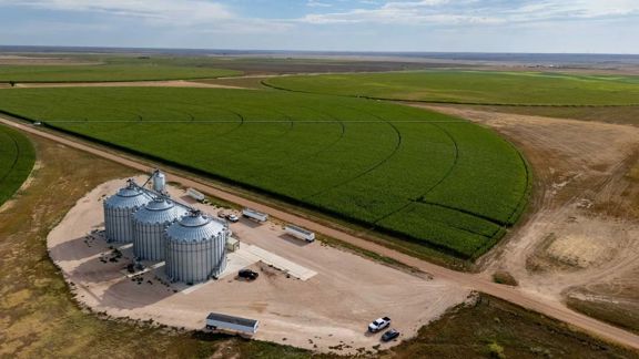 Clark Irrigated Corn Farm