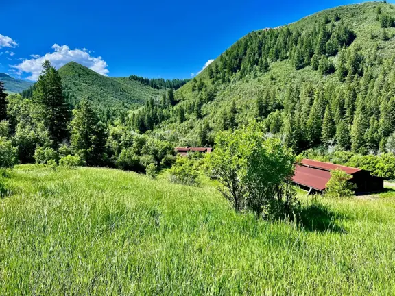 Royal Coyote Ranch