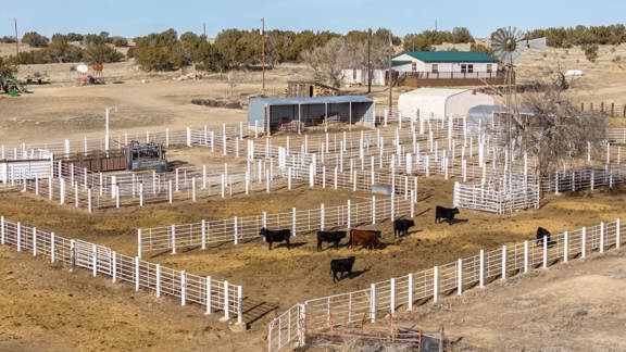 Purgatory Basin Ranch