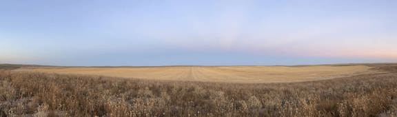 WASHINGTON COUNTY IRRIGATED FARM