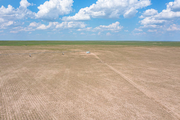 WASHINGTON COUNTY IRRIGATED FARM