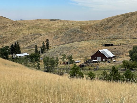 Happy Hill Angus Ranch