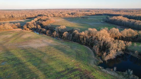 Hatchie River Crop and Hunt