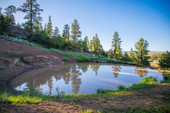 Logging Springs Ranch