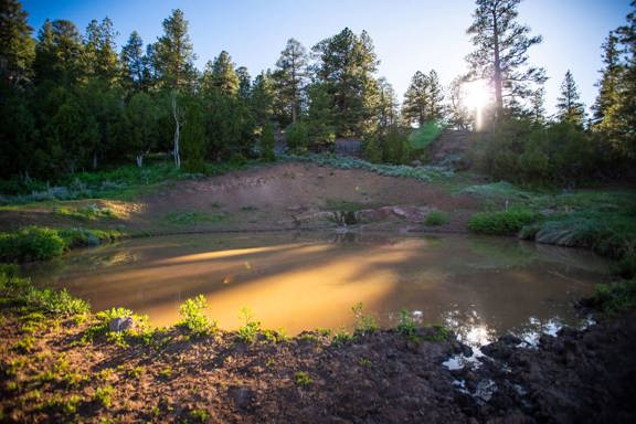 Logging Springs Ranch