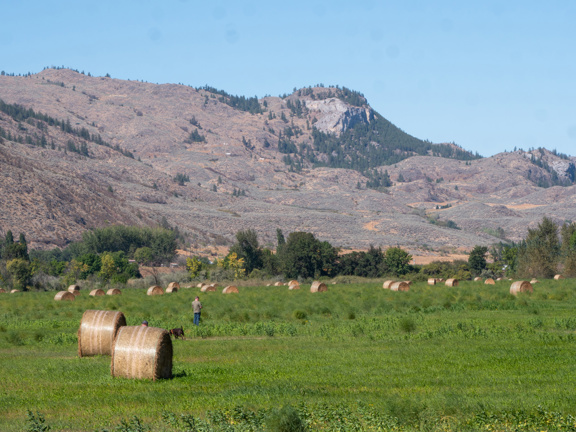 Horseshoe Lake River Ranch