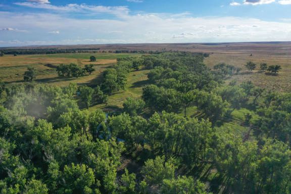 Bijou Creek Farm